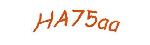 عبارت امنیتی