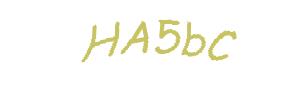 عبارت امنیتی
