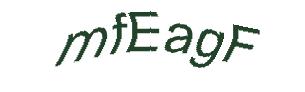 عبارت امنیتی