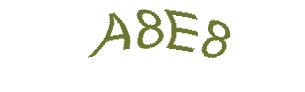 عبارت امنیتی