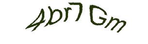 عبارت امنیتی