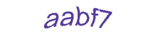 عبارت امنیتی