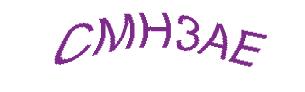 عبارت امنیتی