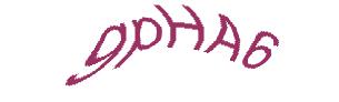 عبارت امنیتی