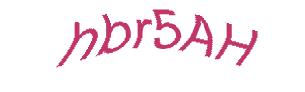 عبارت امنیتی