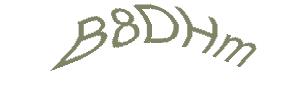 عبارت امنیتی