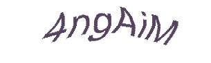 عبارت امنیتی