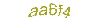 عبارت امنیتی