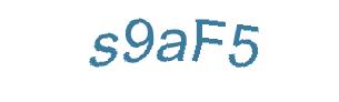 عبارت امنیتی