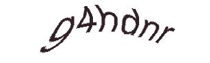 عبارت امنیتی