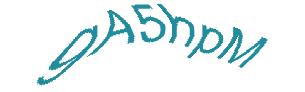 عبارت امنیتی