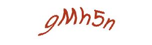 عبارت امنیتی