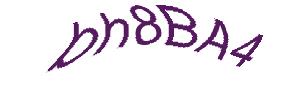 عبارت امنیتی