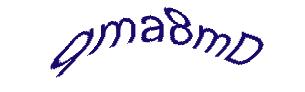 عبارت امنیتی