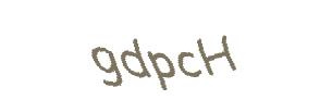 عبارت امنیتی