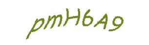 عبارت امنیتی