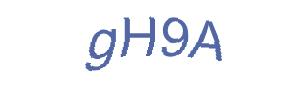 عبارت امنیتی