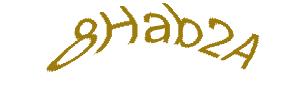 عبارت امنیتی