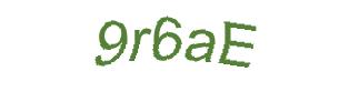 عبارت امنیتی