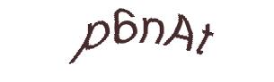 عبارت امنیتی