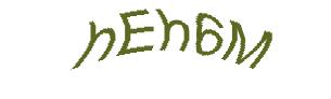 عبارت امنیتی