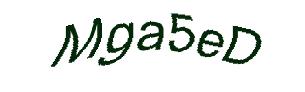 عبارت امنیتی