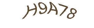 عبارت امنیتی