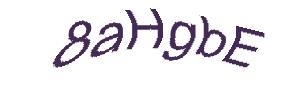 عبارت امنیتی