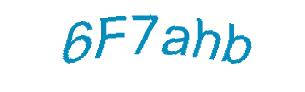 عبارت امنیتی