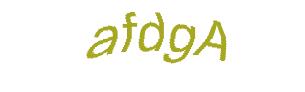 عبارت امنیتی