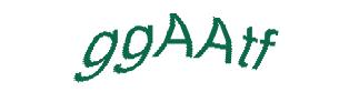عبارت امنیتی