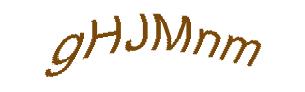 عبارت امنیتی