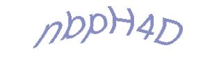 عبارت امنیتی