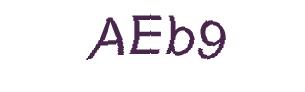 عبارت امنیتی