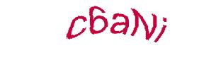 عبارت امنیتی