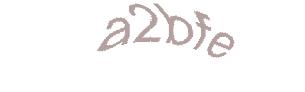عبارت امنیتی