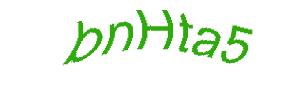 عبارت امنیتی
