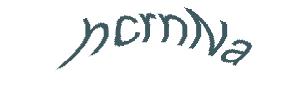 عبارت امنیتی