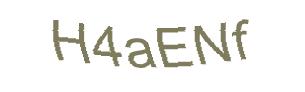 عبارت امنیتی