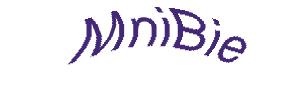 عبارت امنیتی