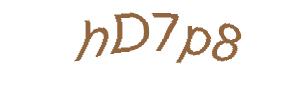 عبارت امنیتی