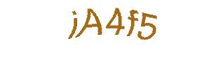 عبارت امنیتی