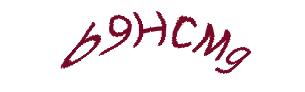 عبارت امنیتی