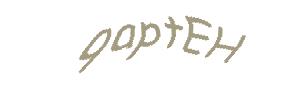 عبارت امنیتی