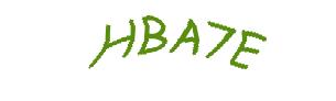 عبارت امنیتی