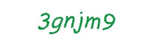 عبارت امنیتی