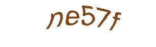 عبارت امنیتی