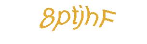 عبارت امنیتی