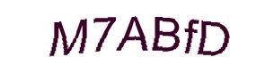 عبارت امنیتی