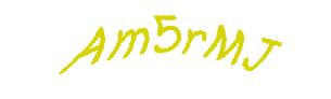 عبارت امنیتی